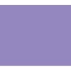 Caran Dache Classic Neocolor I - Metallic Violet Photo