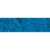 Caran Dache Artist Neopastel - Cobalt Blue Photo