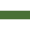 Derwent Studio Pencil - Cedar Green Photo