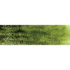 Derwent Graphitint Pencil - Ivy Photo