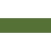 Daler Rowney Graduate Oil - Sap Green Photo