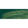 Rembrandt Talens Oil Colour Tube - Terre-verte Photo