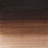Winsor Newton Winsor & Newton Winton Oil - Van Dyke Brown Photo