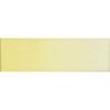 Old Holland Watercolour - Cobalt Yellow Lake Photo