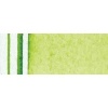 Winsor Newton Winsor & Newton Watercolour Marker - Sap Green Photo