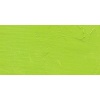 Gamblin Artist Oil Paint - Cadmium Green Photo