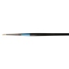 Daler Rowney Aquafine Watercolour Brush Photo
