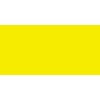 Caran Dache Caran d'Ache Pablo Coloured Pencil - Lemon Yellow 240 Photo