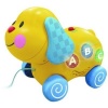 WinFun Fun And Playful Puppy Photo