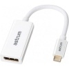Astrum DA640 USB Type-C to Display Port Adapter Photo