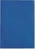Rexel Basics LeatherGrain Binding Covers Photo