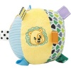 WinFun Caesar The Lion Soft Rattle Ball Photo