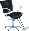 Parrot Styling Chair Photo