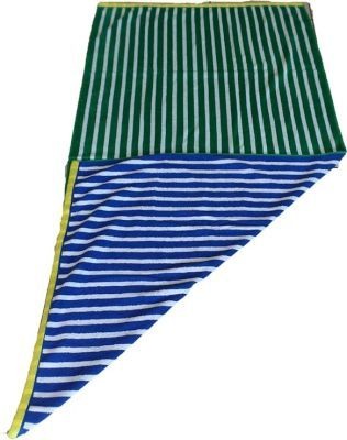 Photo of Bunty 's Espirt 3 Beach Towel