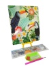 Umlozi Diamond Painting Bird - Toucon Photo