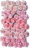 Bloom Enterprises Bloom Embellishments Flowers Wild Roses Photo