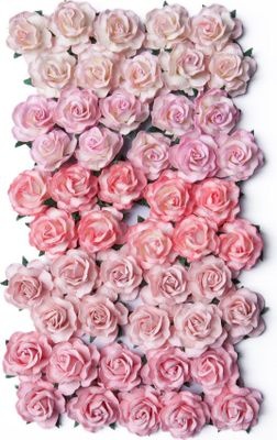 Photo of Bloom Enterprises Bloom Wild Roses with Stems - Pink