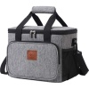 Maisonware Insulated Lunch Box and Cooler Bag Photo
