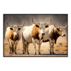Fancy Artwork Canvas Wall Art :Three Boran Cows - Photo