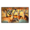 Fancy Artwork Canvas Wall Art :Group of Impala - Photo