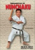 Fundamentals of Nunchaku Photo