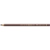 Faber Castell Faber-Castell Pencil Polychromos 176 Photo
