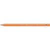 Faber Castell Faber-Castell Albrecht Duerer Watercolour Pencil 111 Photo