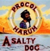 A Salty Dog Photo