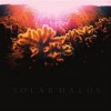 Solar Halos Photo