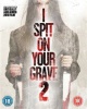 I Spit On Your Grave 2 Photo