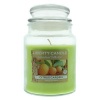 Liberty Candle Homestead Collection Candle - Citrus Garden - Parallel Import Photo