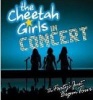 Disney Cheetah Girls In Concert Photo