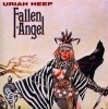 Fallen Angel Photo