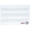 Parrot Plastic Writing Slate - Music Lines Photo
