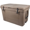 Romer 65L Cooler Box Photo