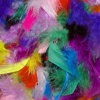 Dala Mixed Feathers - 6cm Photo