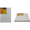 Dala Artist Canvas Stretch Photo