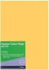 Treeline Premium Deep Tint Paper Photo