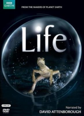 Photo of Sony Pictures Home Entertainment Life movie