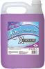 Xtreem Air Freshener Spring Breeze Photo