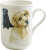 Maxwell Williams Maxwell & Williams Cashmere Pets Dog Labrador Mug Photo