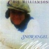 Olivia Snow Angel Photo