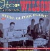 Steel Guitar Flash! Plus Photo