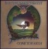 Gone to Earth Photo
