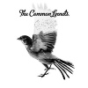 Universal Common Linnets Photo