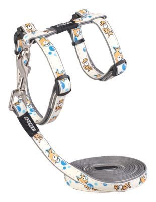 Photo of Rogz Catz GlowCat Reflective Glow-in-the-Dark Cat Lead and H-Harness Combination
