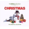 Intro Christmas Photo