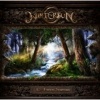 The Forest Seasons Photo