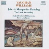 Naxos Vaughan Williams: Job / The Lark Ascending Photo