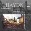 Joseph Haydn: String Quartets Photo